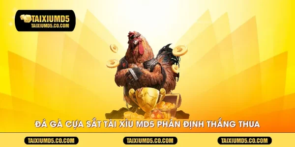 da-ga-cua-sat-tai-xiu-md5-phan-dinh-thang-thua